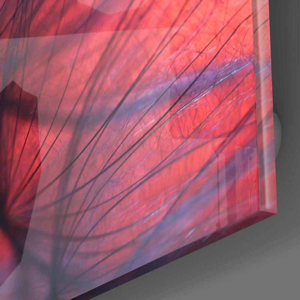 Insigneart USA Insigneart USA Red Dandelion Glass Wall Art