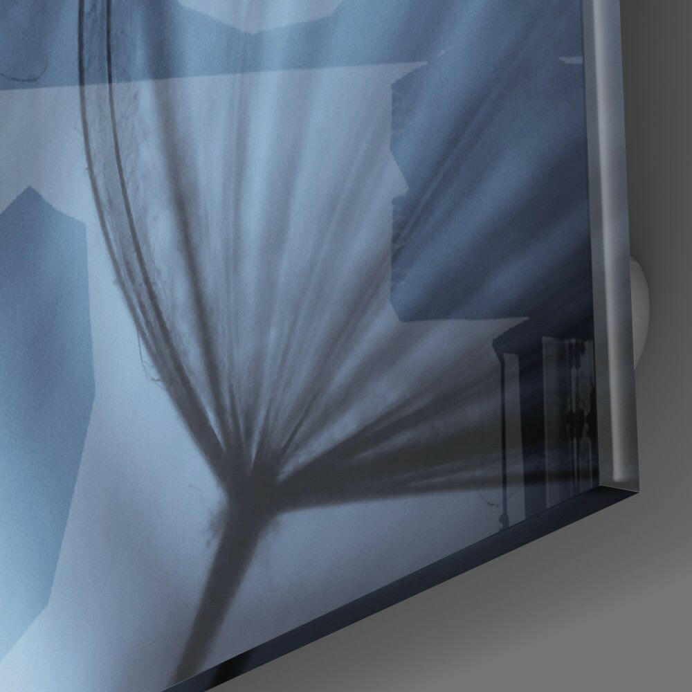 Insigneart USA Insigneart USA Dandelion Tranquility Glass Wall Art