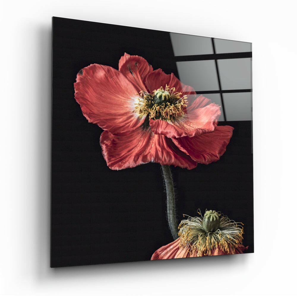 Insigneart USA Insigneart USA Flower Glass Wall Art