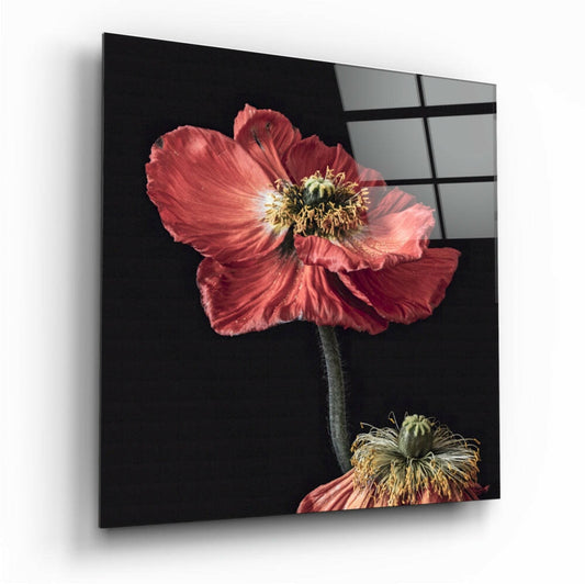 Insigneart USA Insigneart USA Flower Glass Wall Art