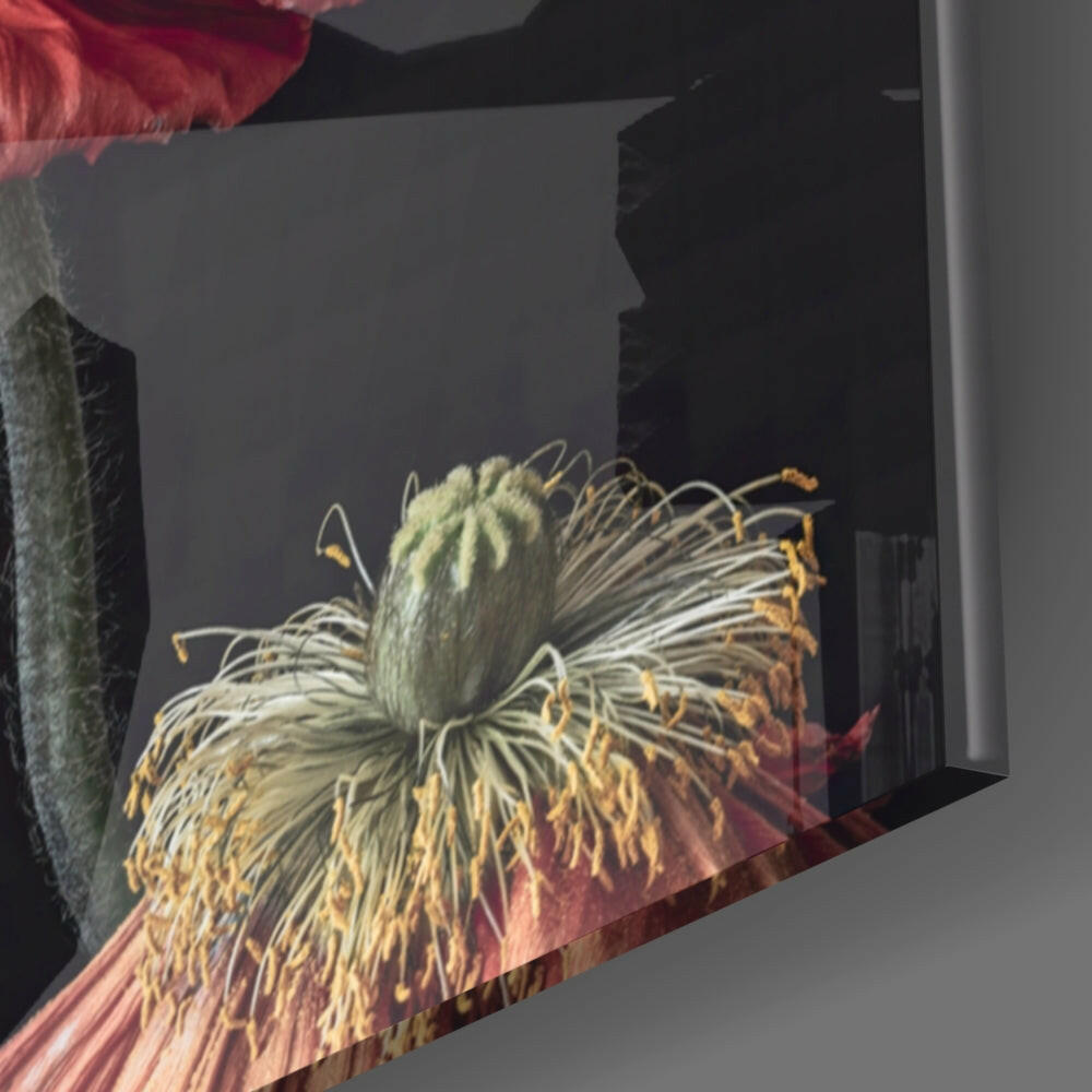 Insigneart USA Insigneart USA Flower Glass Wall Art