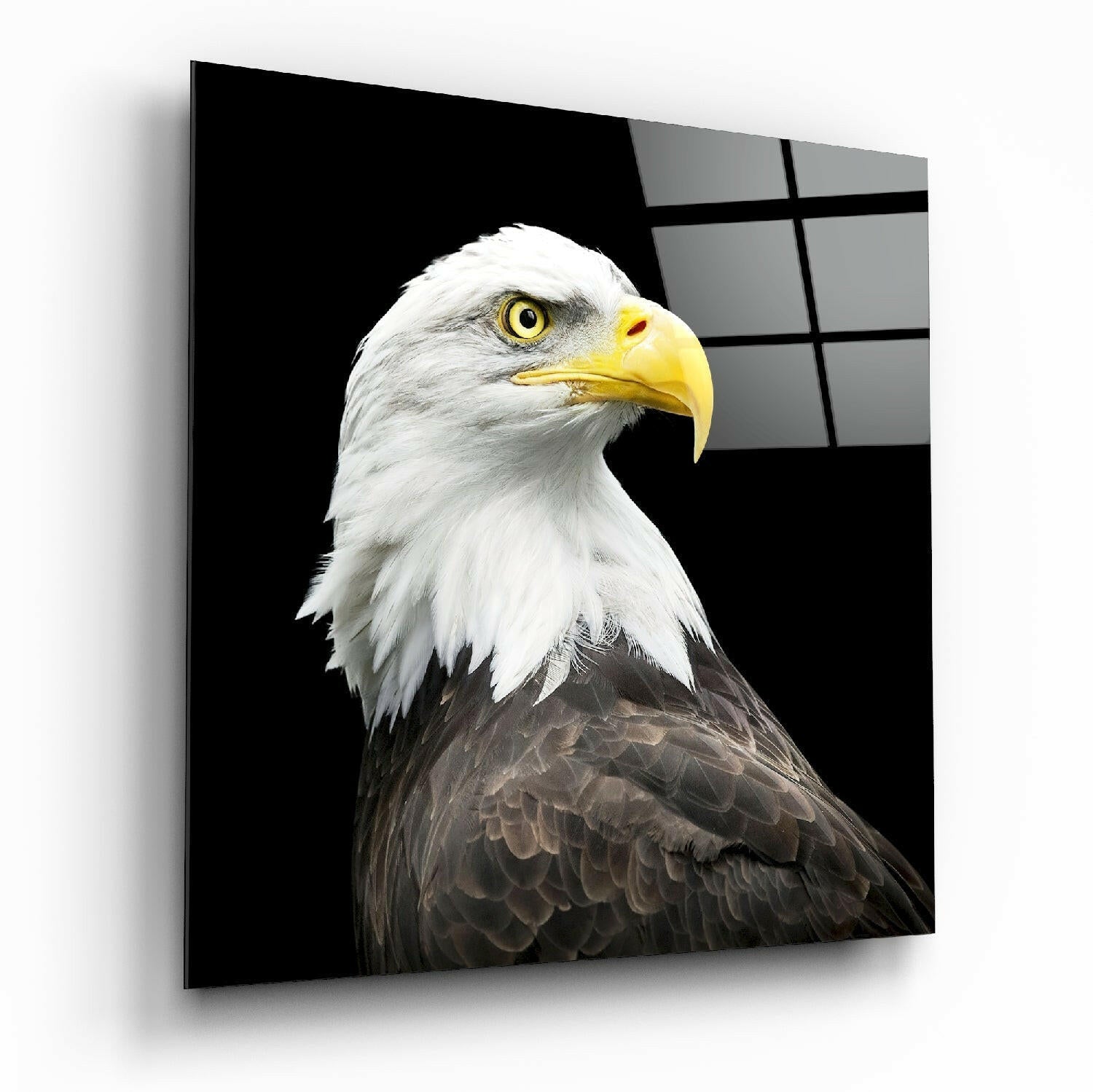 Insigneart USA Insigneart USA Eagle Glass Wall Art