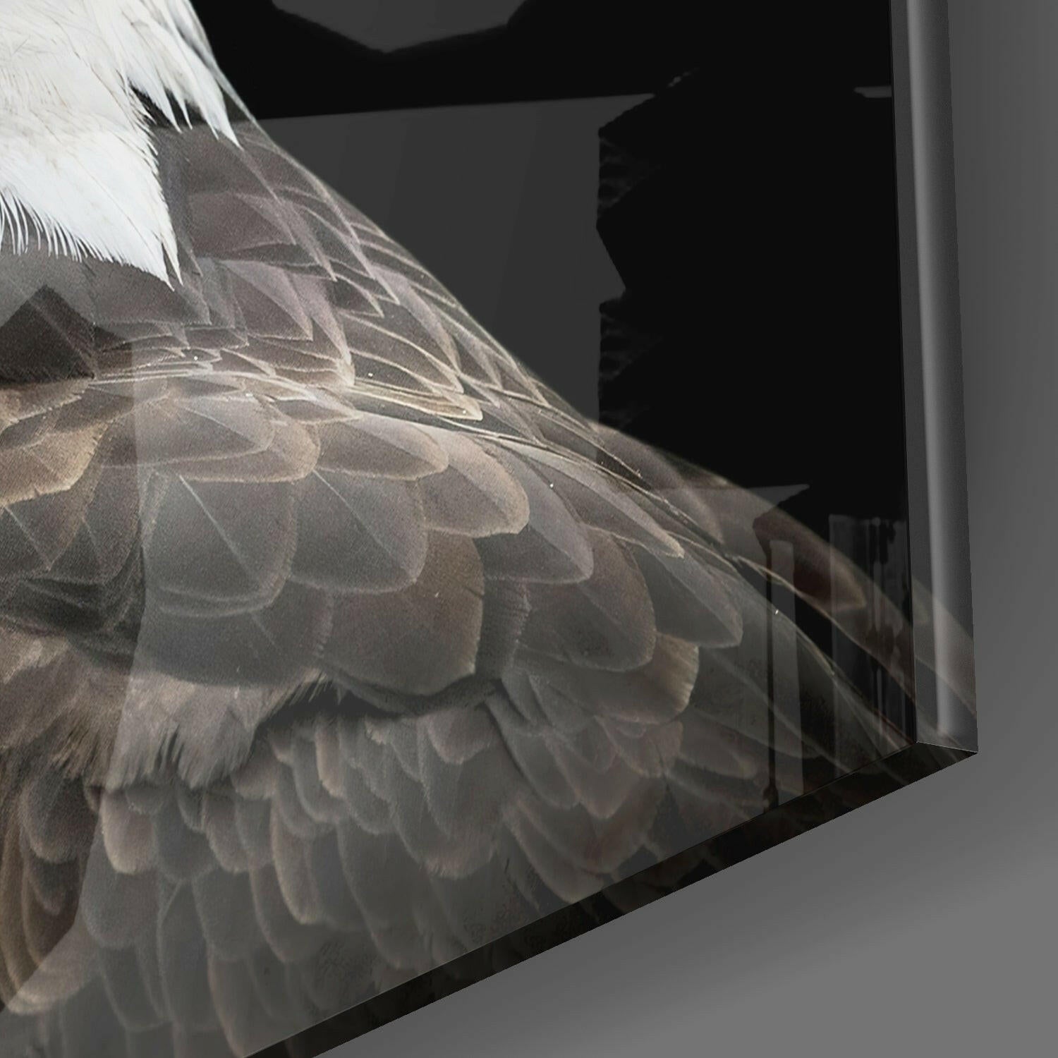 Insigneart USA Insigneart USA Eagle Glass Wall Art