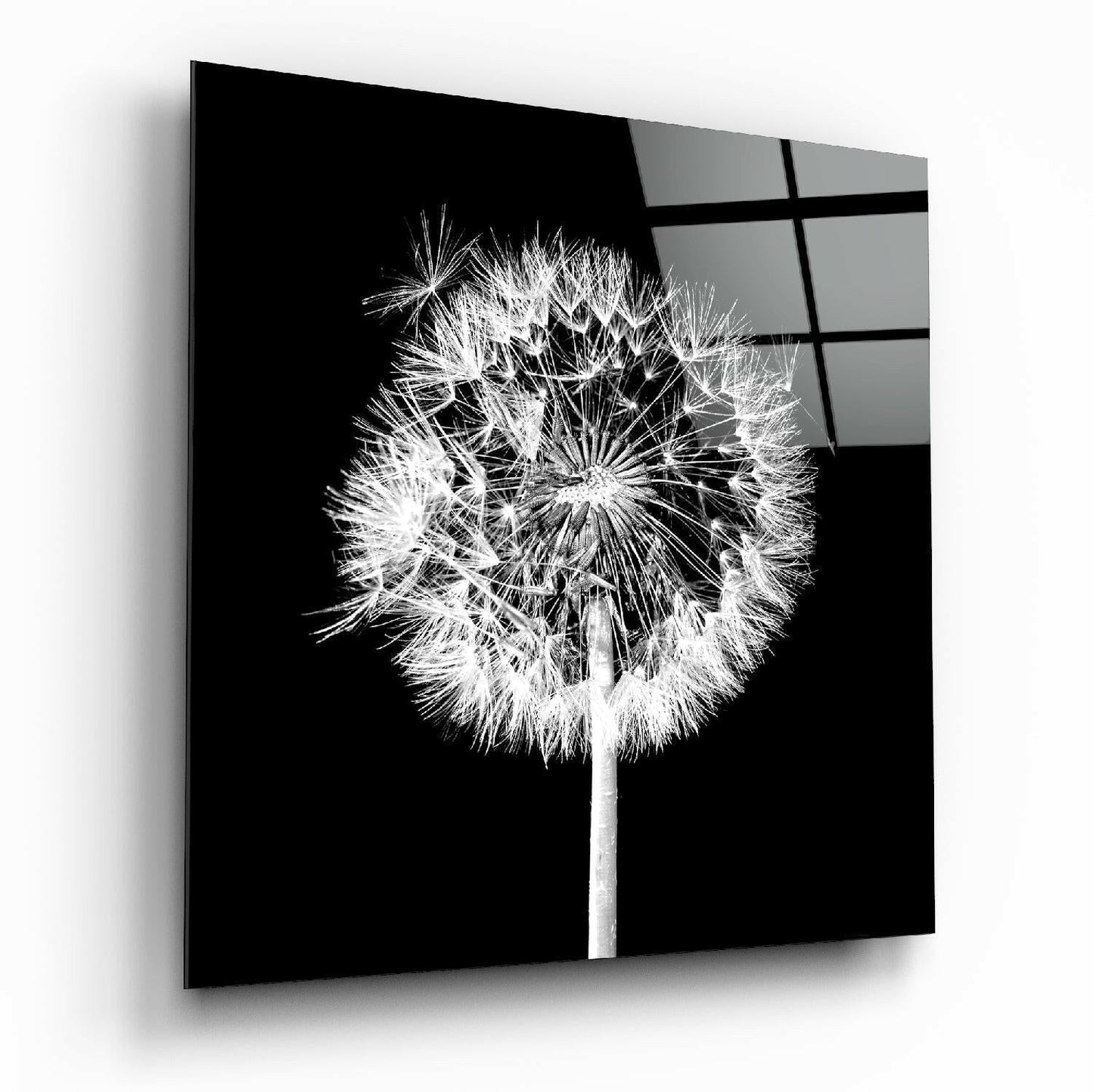 Insigneart USA Insigneart USA Dandelion Glass Wall Art