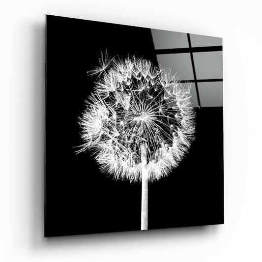 Insigneart USA Insigneart USA Dandelion Glass Wall Art