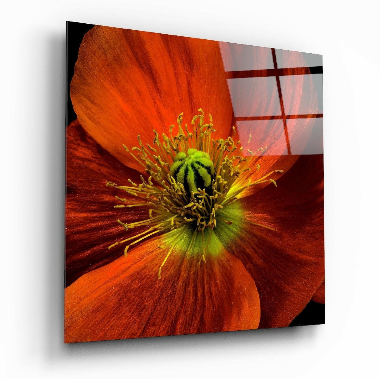 Insigneart USA Insigneart USA Flower Glass Wall Art