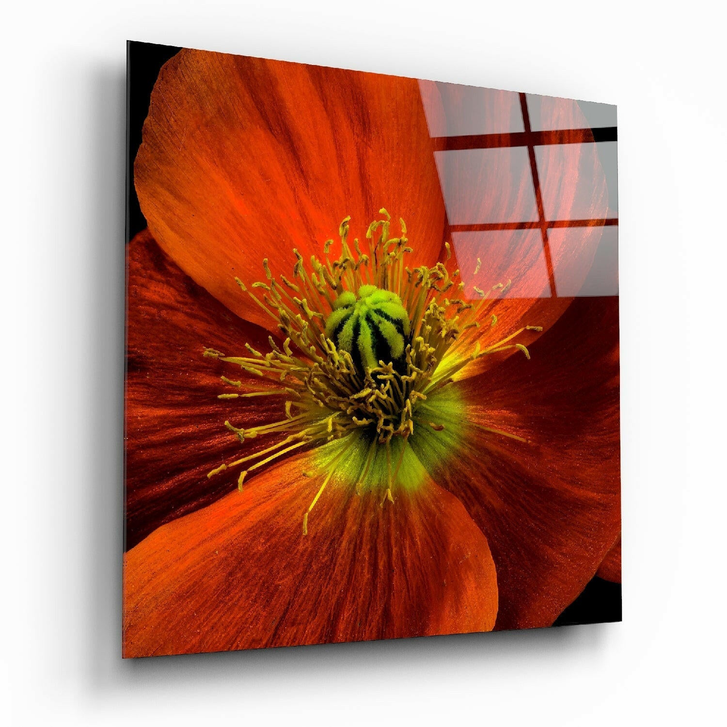 Insigneart USA Insigneart USA Flower Glass Wall Art