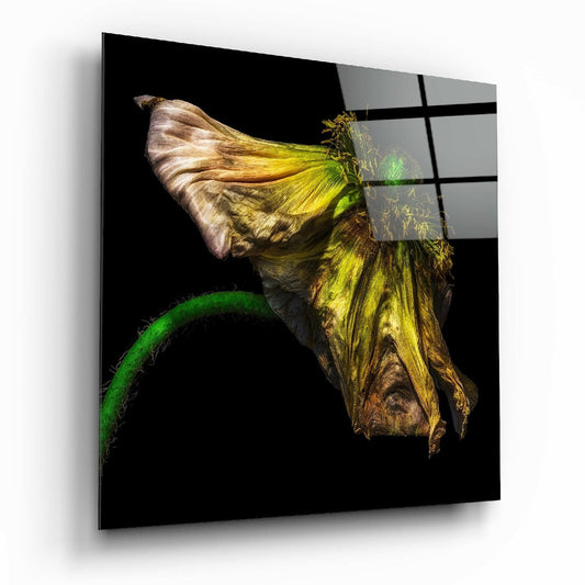 Insigneart USA Insigneart USA Flower Glass Wall Art