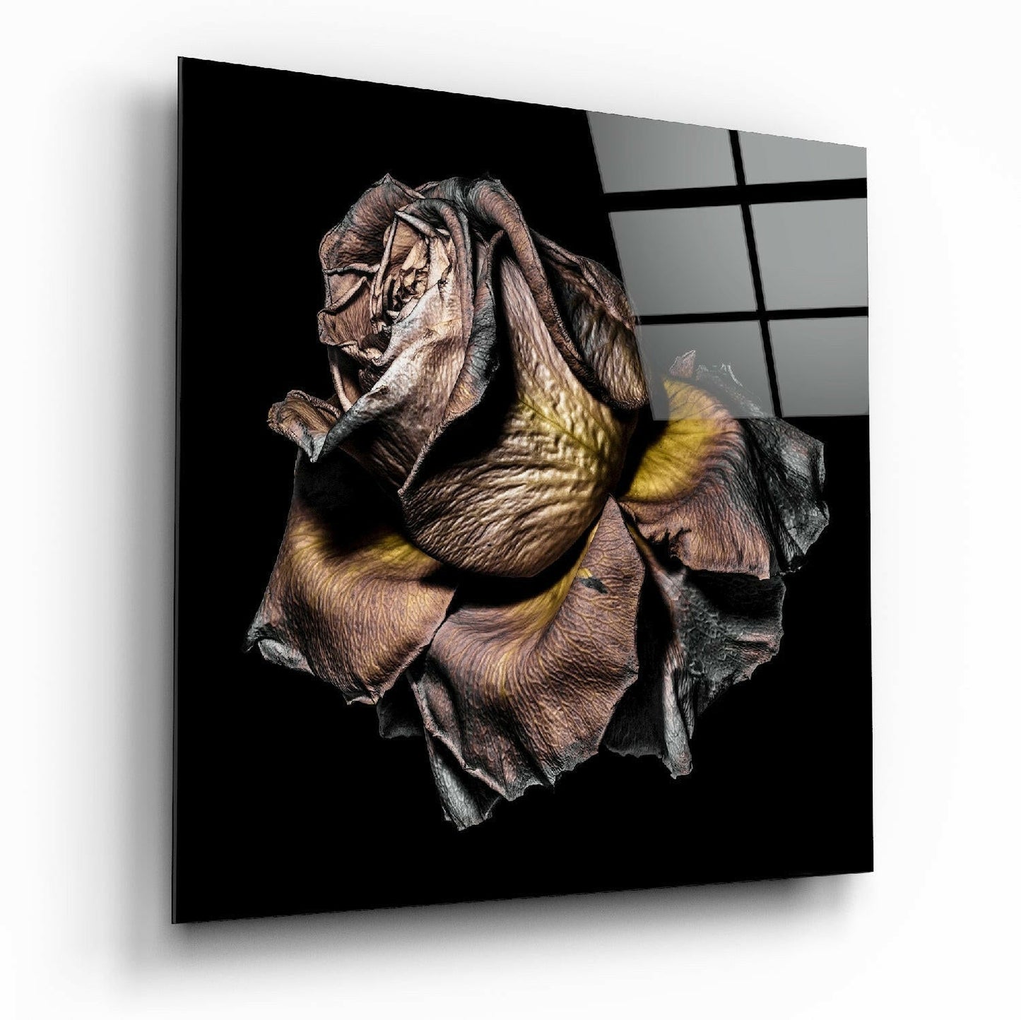 Insigneart USA Insigneart USA Dried Rose Glass Wall Art