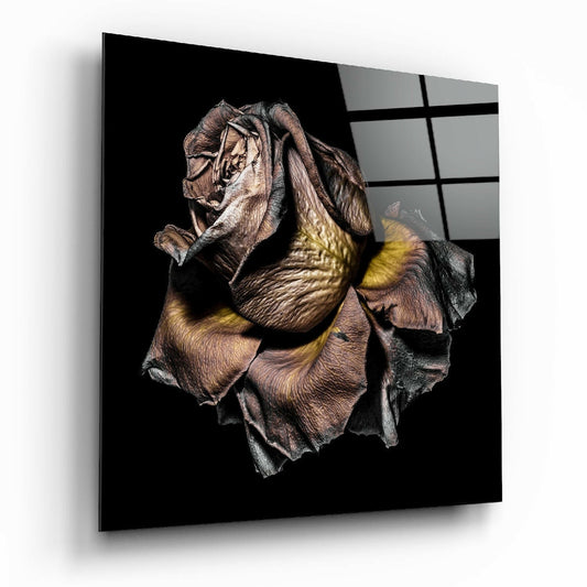 Insigneart USA Insigneart USA Dried Rose Glass Wall Art