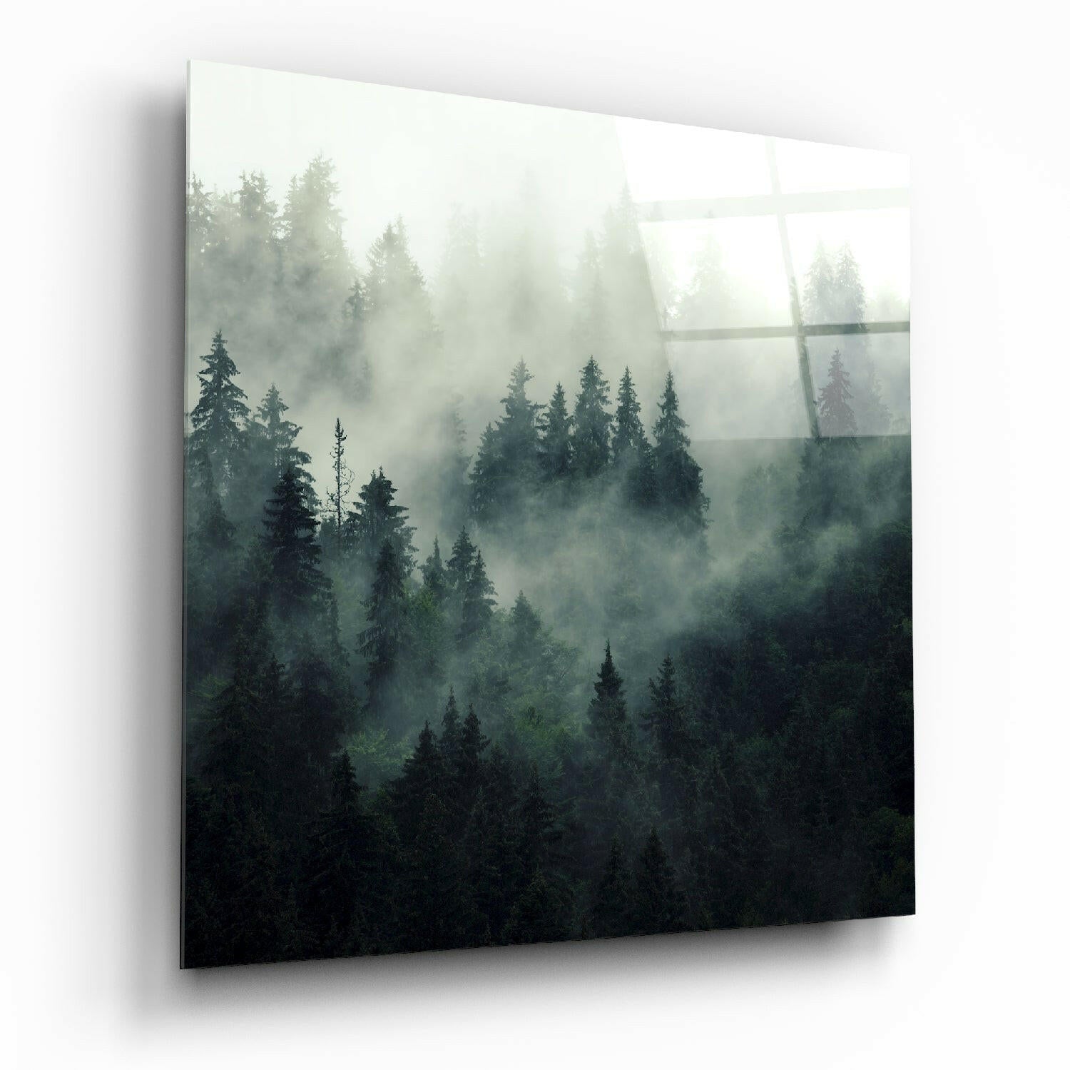 Insigneart USA Insigneart USA Foggy Forest Glass Wall Art