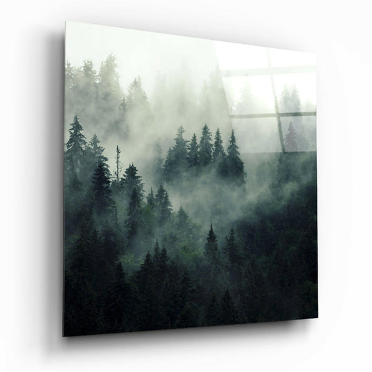 Insigneart USA Insigneart USA Foggy Forest Glass Wall Art
