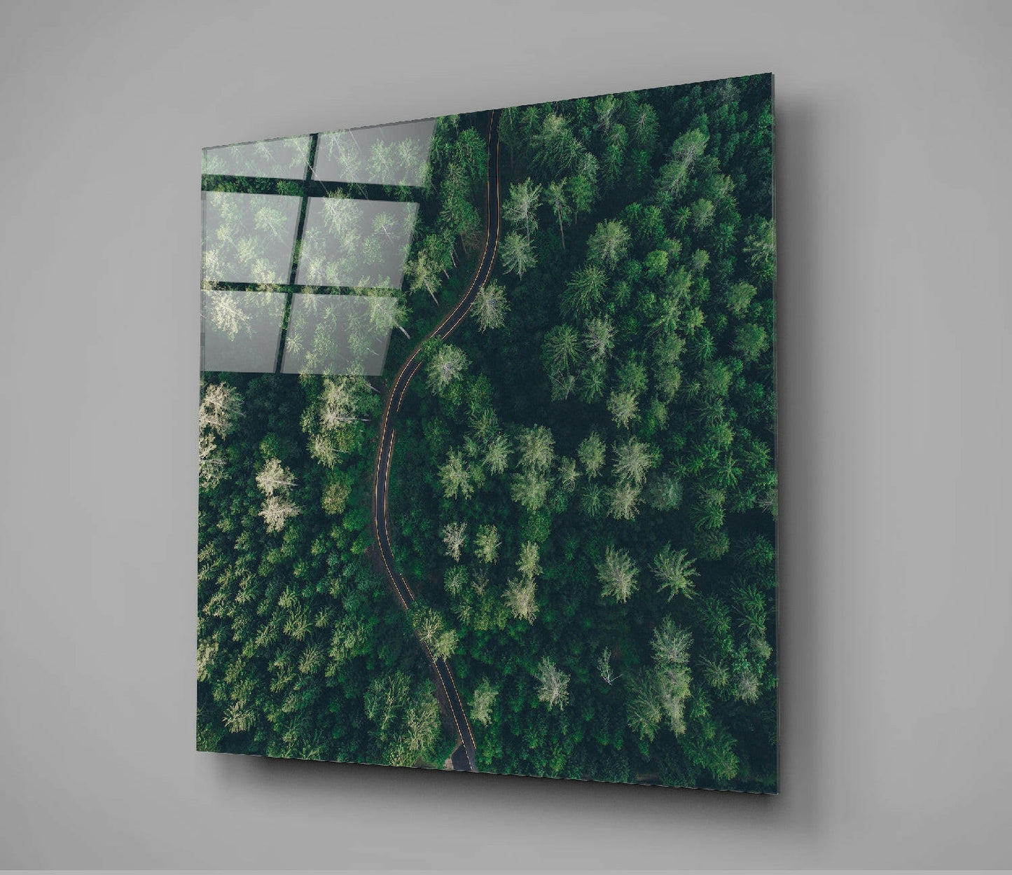 Insigneart USA Insigneart USA Forest Road Glass Wall Art