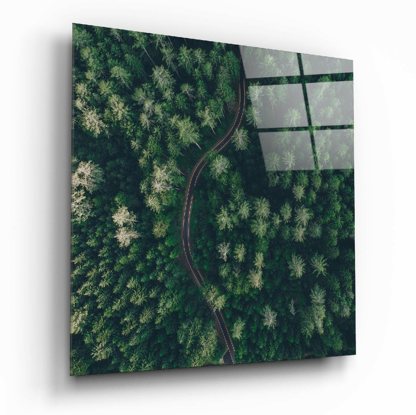 Insigneart USA Insigneart USA Forest Road Glass Wall Art