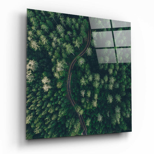 Insigneart USA Insigneart USA Forest Road Glass Wall Art