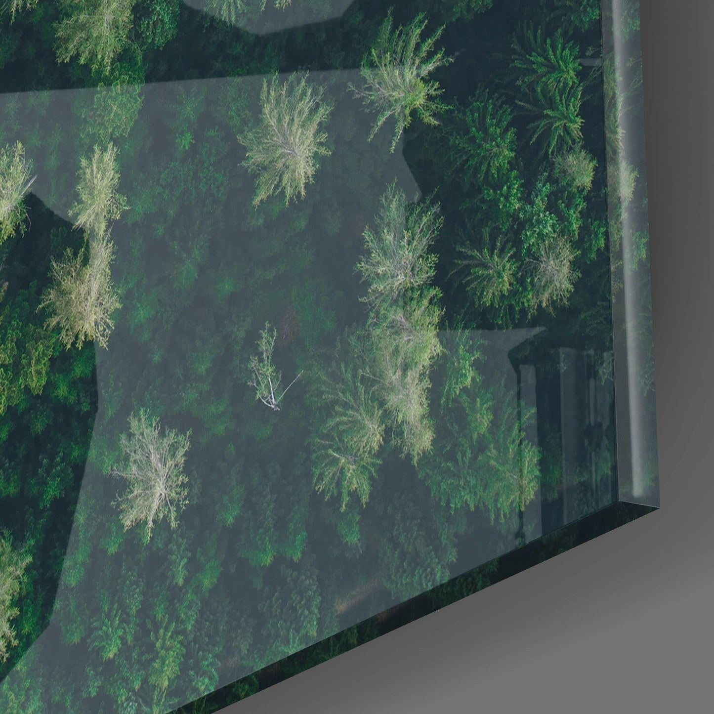 Insigneart USA Insigneart USA Forest Road Glass Wall Art