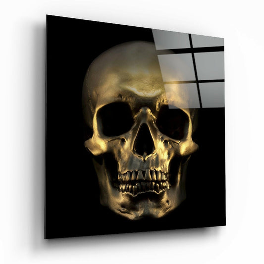Insigneart USA Insigneart USA Skull Glass Wall Art