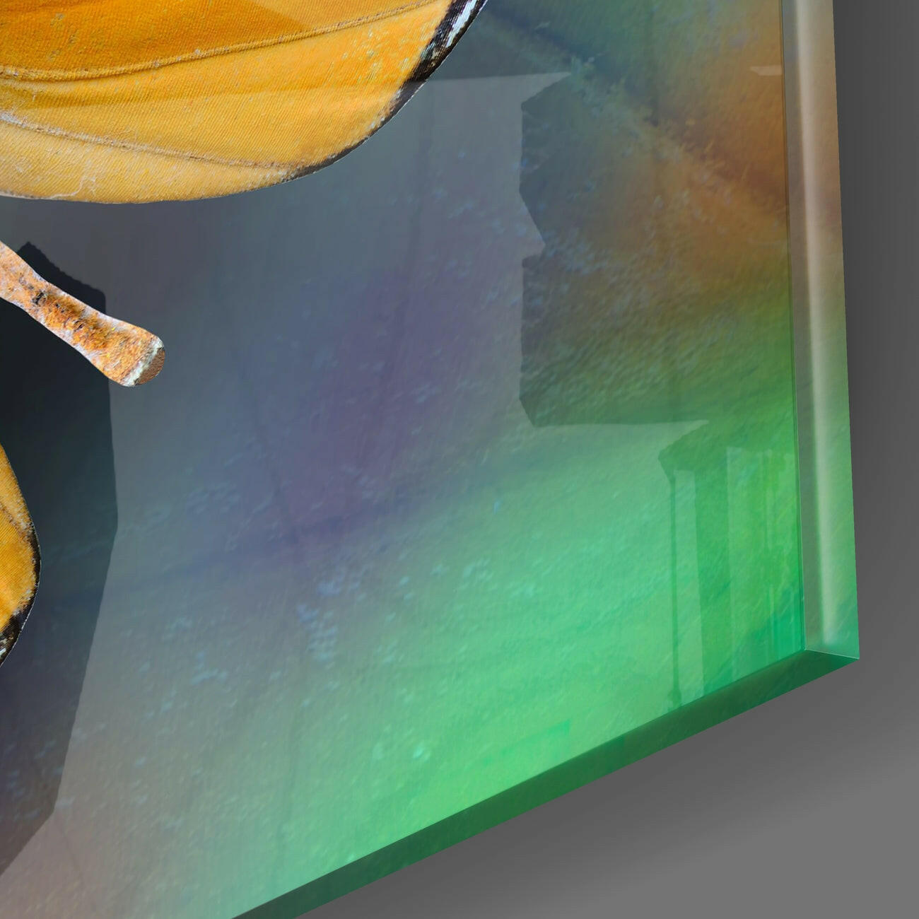 Insigneart USA Insigneart USA Butterfly Glass Wall Art