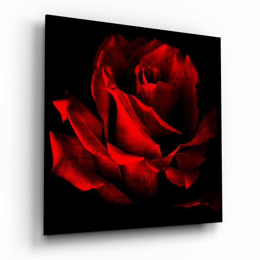 Insigneart USA Insigneart USA Red Rose Glass Wall Art