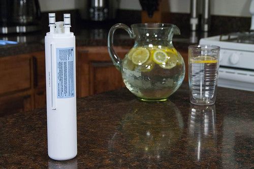 Kenmore 9999 Water Filter (OEM) FILTERLO