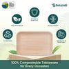 Bosnal - Palm Leaf Biodegradable Plates, 9 x 6 inch Rectangle Bosnal