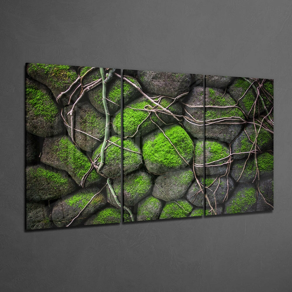 Insigneart USA Insigneart USA Mossy Stones Mega Glass Wall Art