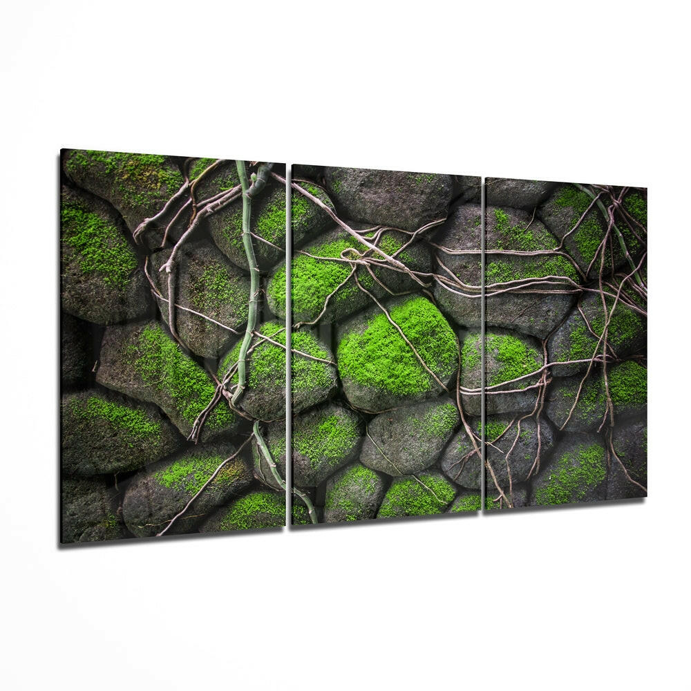 Insigneart USA Insigneart USA Mossy Stones Mega Glass Wall Art