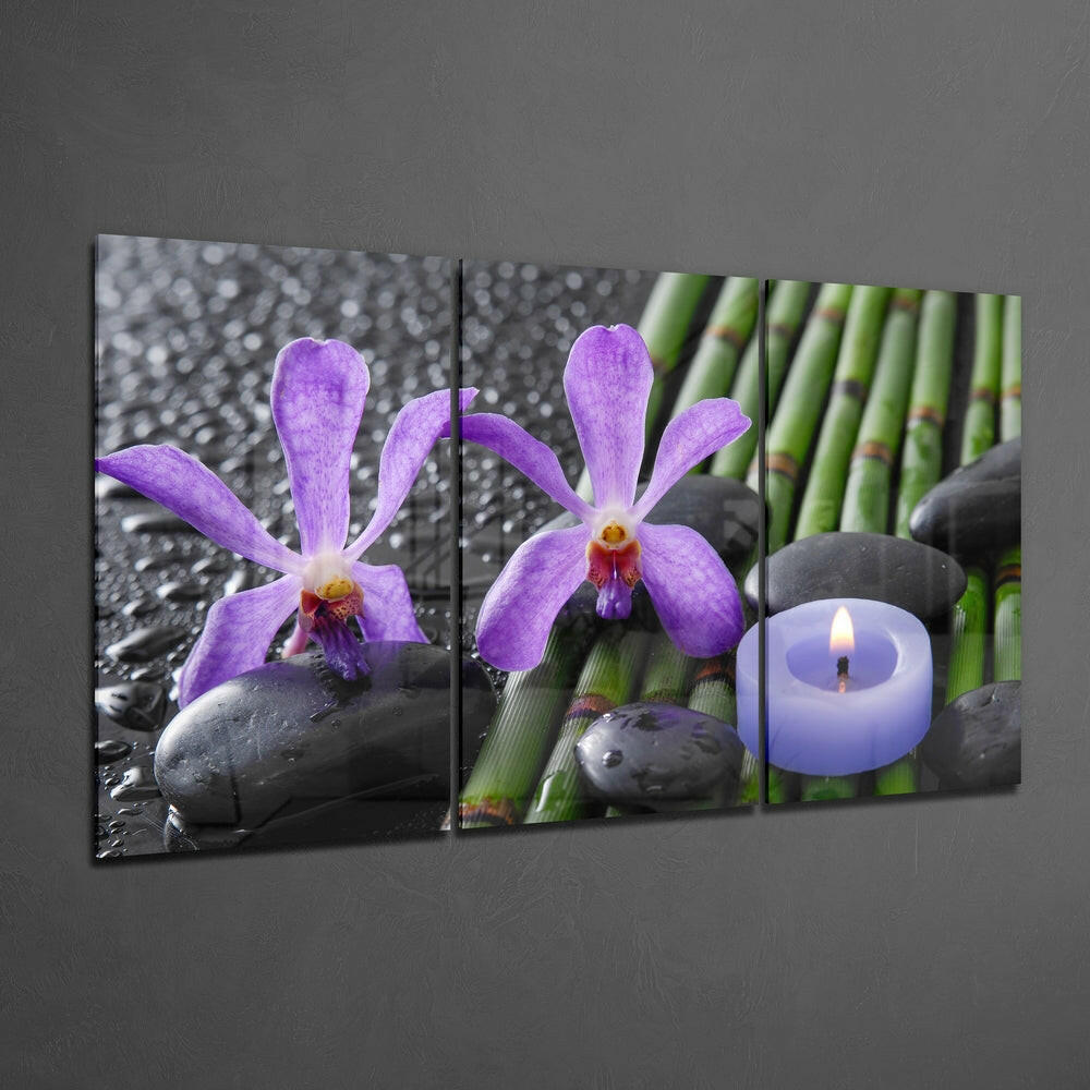 Insigneart USA Insigneart USA Purple Orchid Mega Glass Wall Art