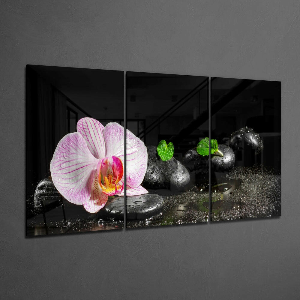Insigneart USA Insigneart USA Orchid Mega Glass Wall Art