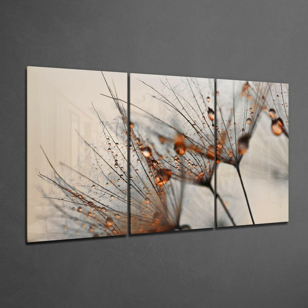 Insigneart USA Insigneart USA Cinnamon Dandelion Glass Wall Art