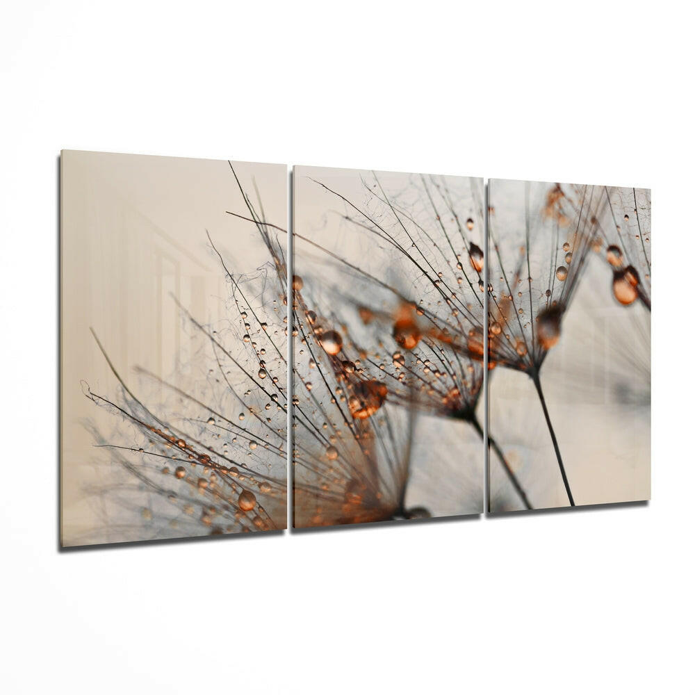 Insigneart USA Insigneart USA Cinnamon Dandelion Glass Wall Art