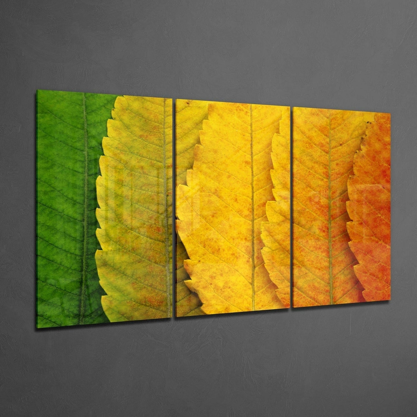 Insigneart USA Insigneart USA Autumn Leaves Glass Wall Art