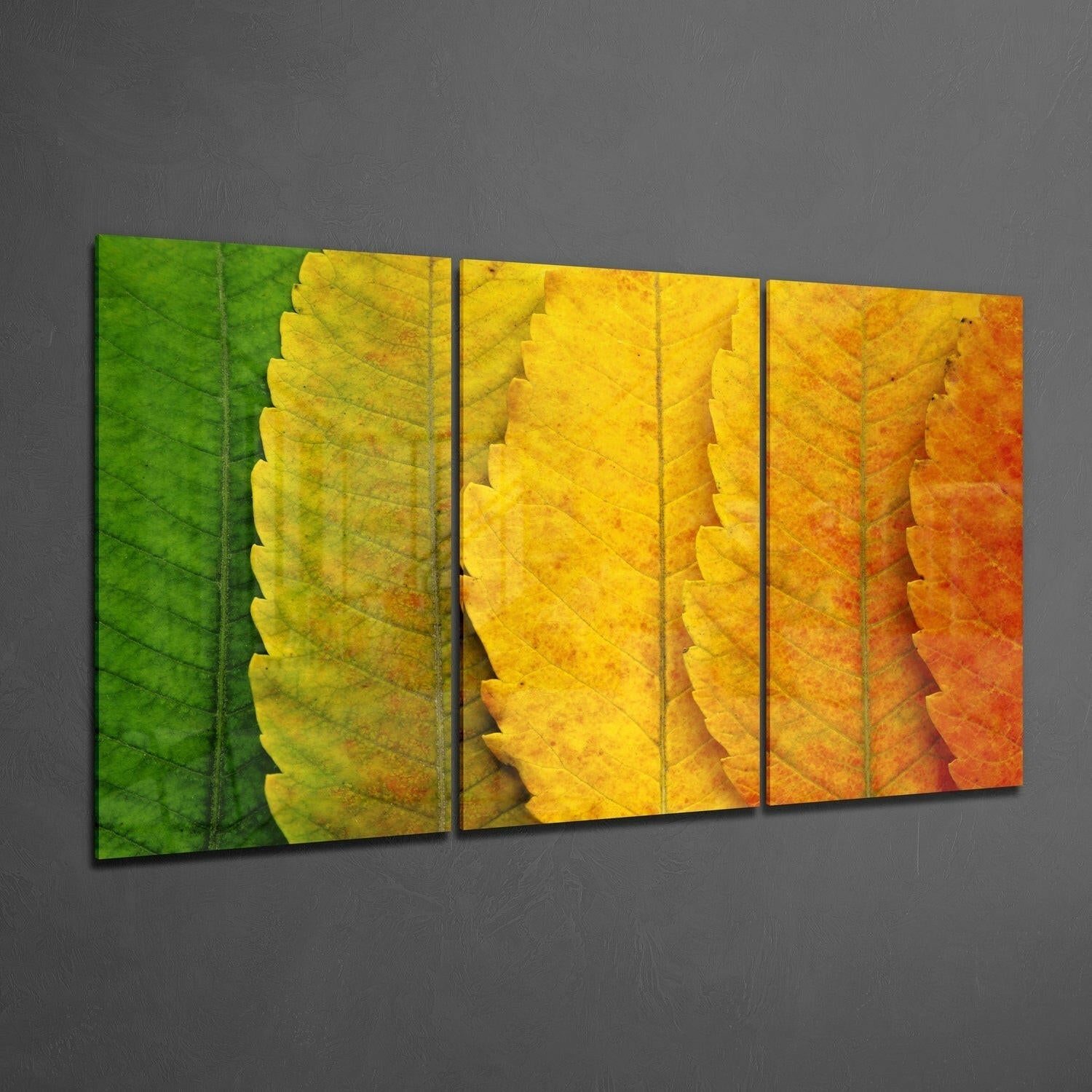Insigneart USA Insigneart USA Autumn Leaves Glass Wall Art