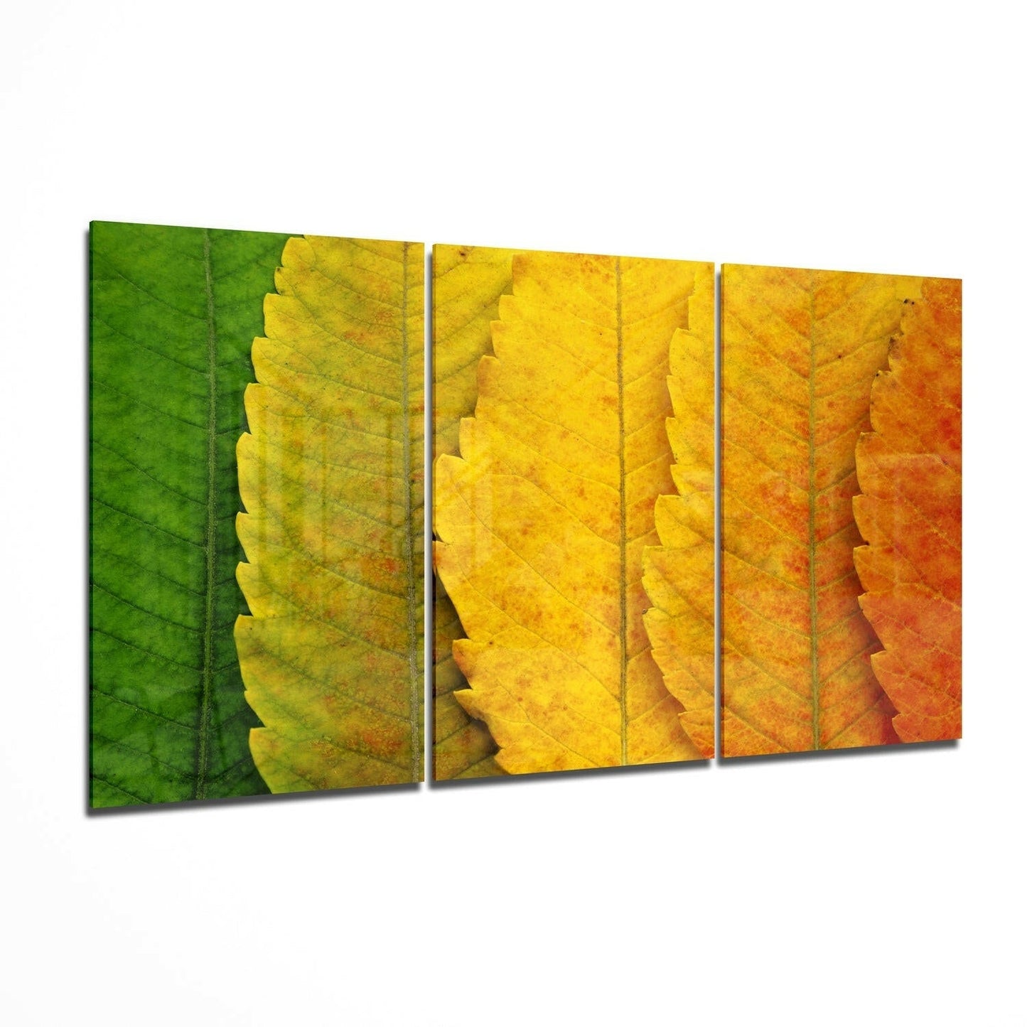 Insigneart USA Insigneart USA Autumn Leaves Glass Wall Art