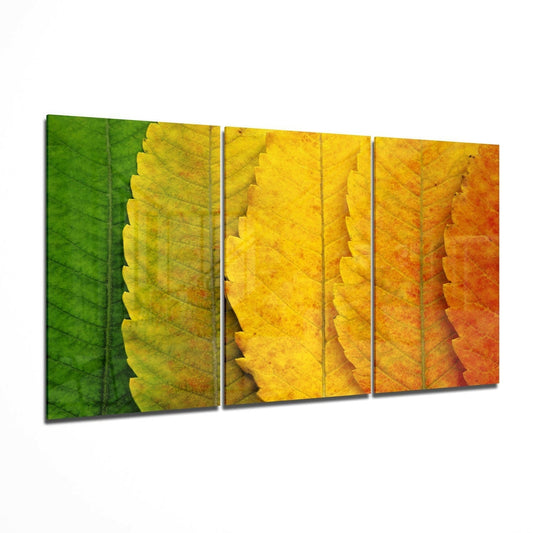 Insigneart USA Insigneart USA Autumn Leaves Glass Wall Art