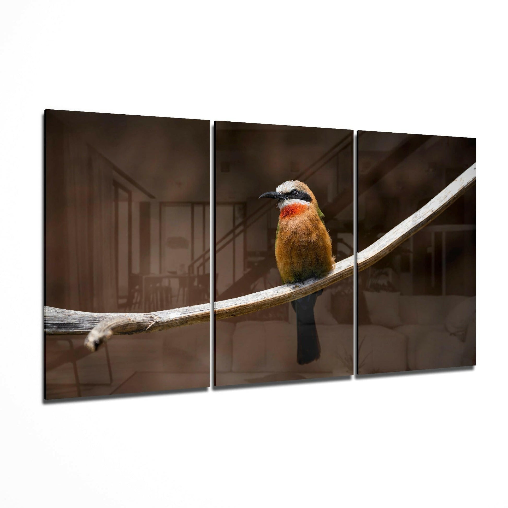 Insigneart USA Insigneart USA Bee-eater Glass Art
