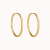 Medium Classic Clicker Hoop Earrings Caris Jewelry