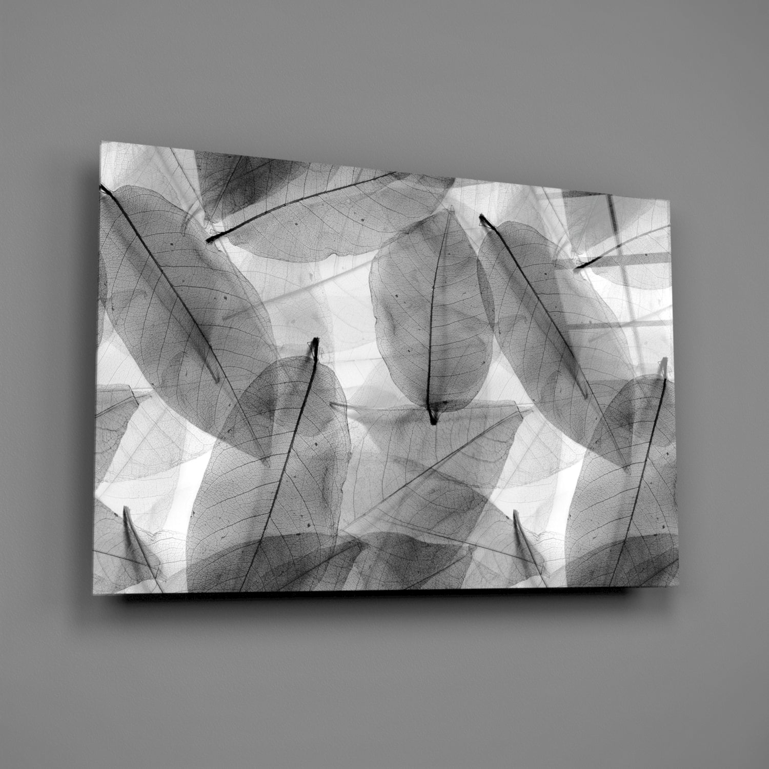 Insigneart USA Insigneart USA Black - White Leaves Glass Wall Art