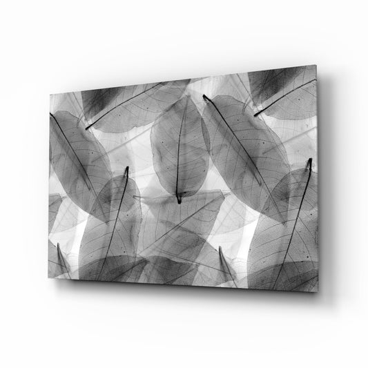 Insigneart USA Insigneart USA Black - White Leaves Glass Wall Art