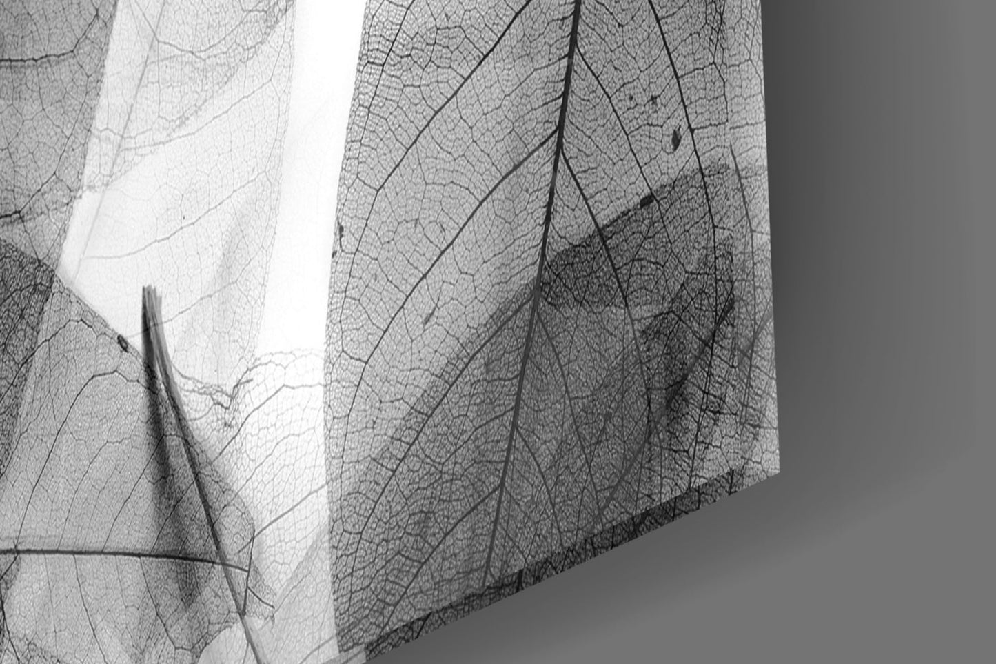 Insigneart USA Insigneart USA Black - White Leaves Glass Wall Art