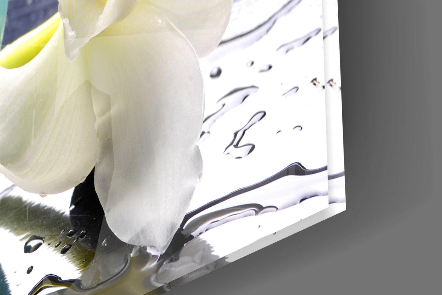 Insigneart USA Insigneart USA Candle Glass Wall Art