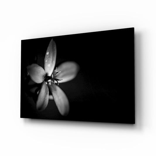 Insigneart USA Insigneart USA Flower Glass Wall Art