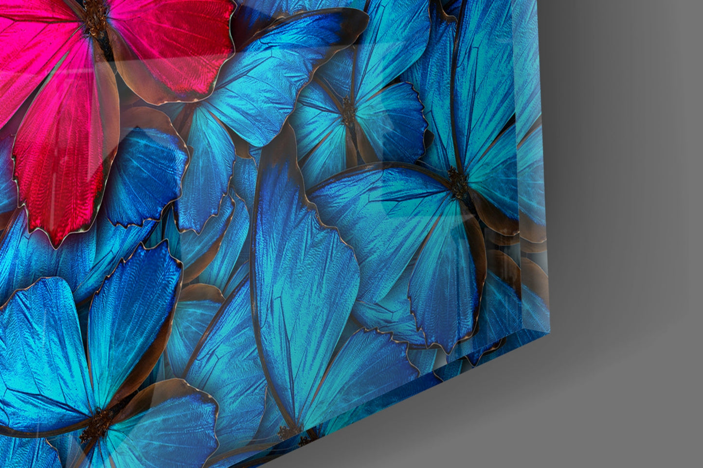 Insigneart USA Insigneart USA Butterfly Glass Wall Art