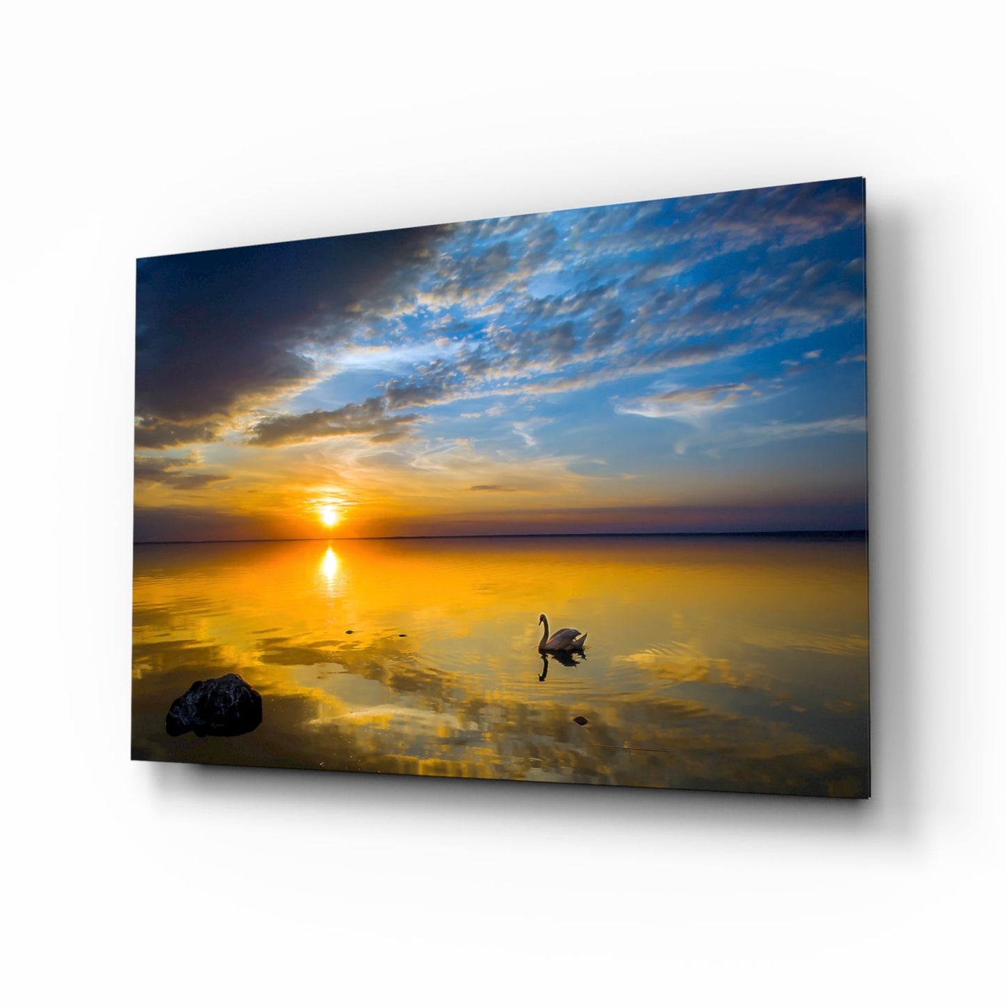 Swan Glass Wall Art
