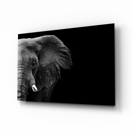Insigneart USA Insigneart USA Elephant Glass Wall Art