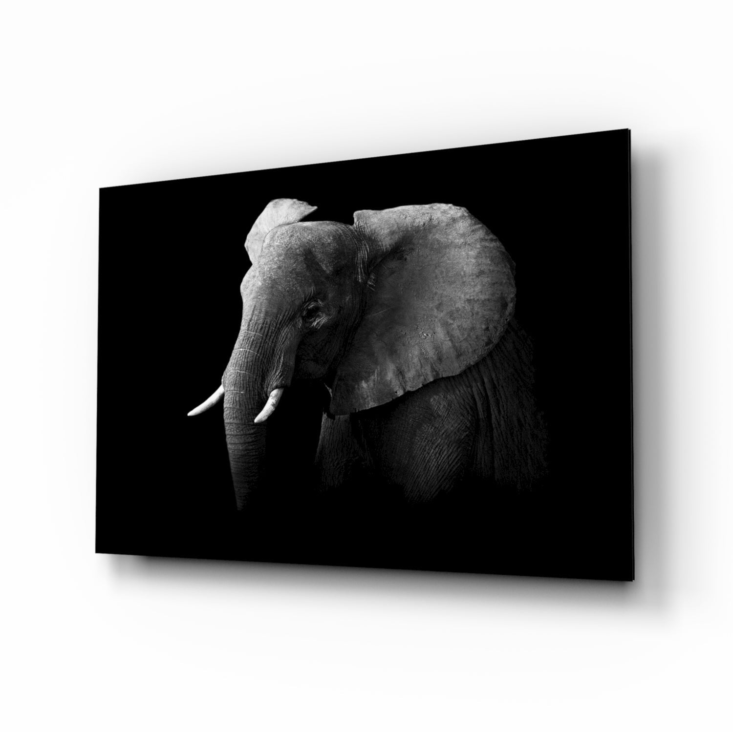 Insigneart USA Insigneart USA Elephant Glass Wall Art
