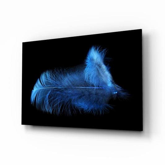 Insigneart USA Insigneart USA Blue Feather Glass Wall Art
