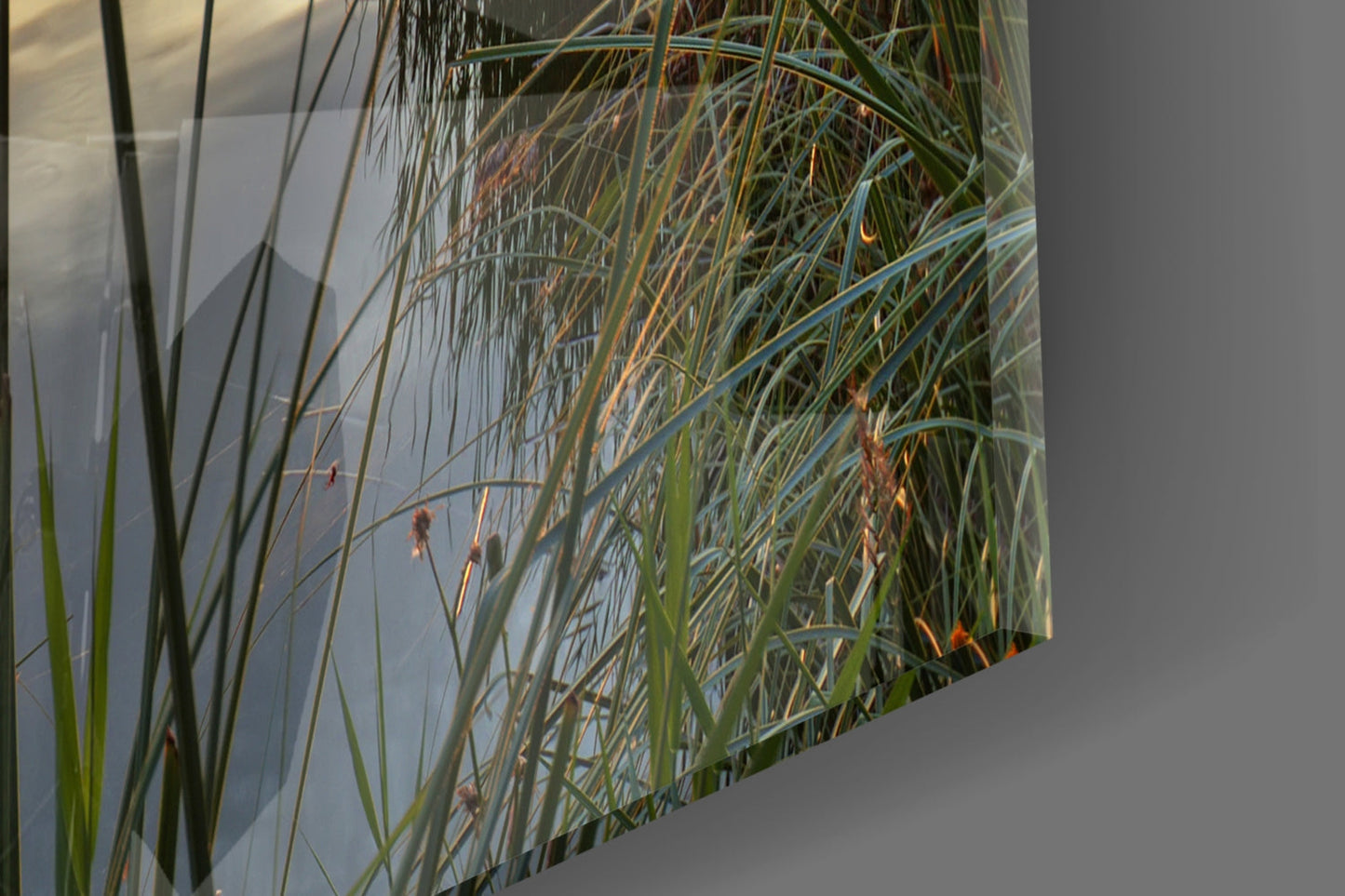 Insigneart USA Insigneart USA Sunset Glass Wall Art