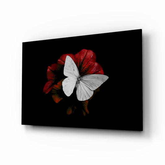 Insigneart USA Insigneart USA Butterfly Glass Wall Art