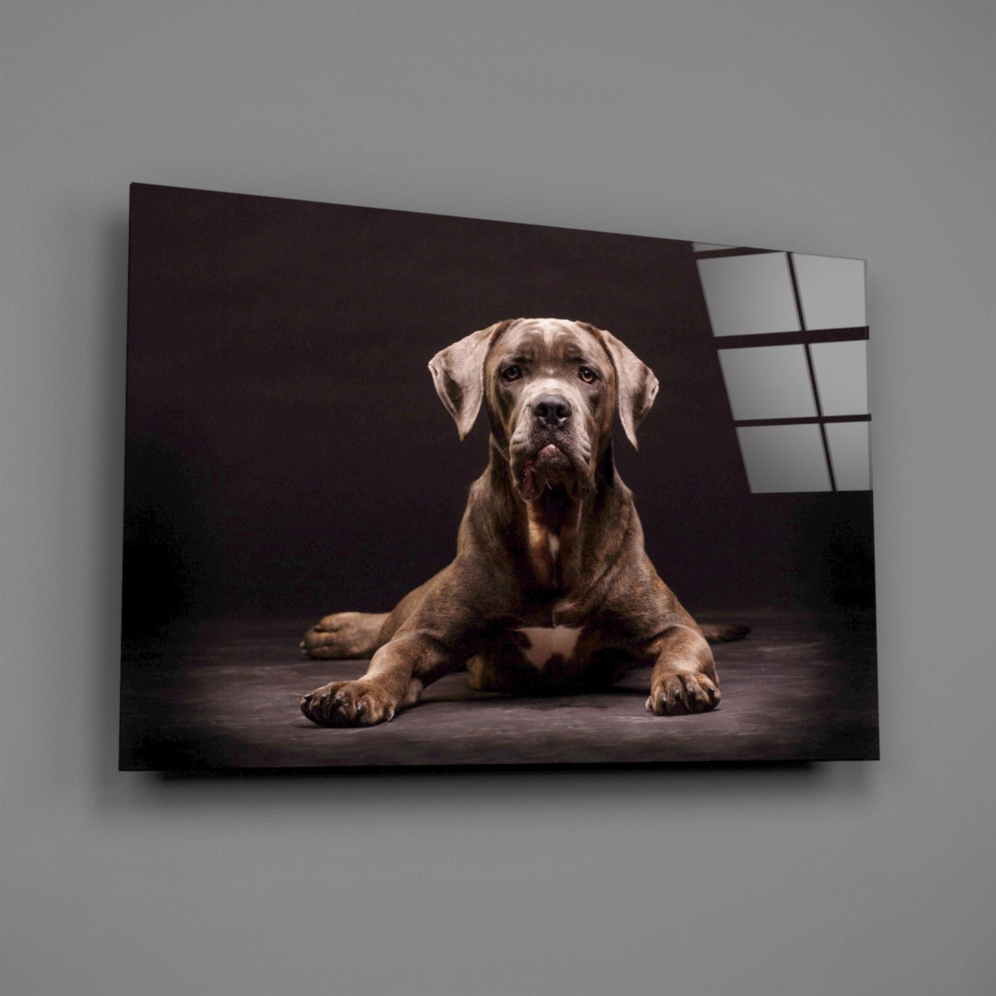Insigneart USA Insigneart USA Dog Glass Wall Art